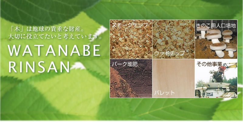 WATANABE RINSAN