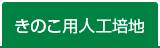 きのこ用人工培地