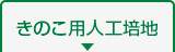 きのこ用人工培地