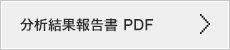 分析結果報告書PDF